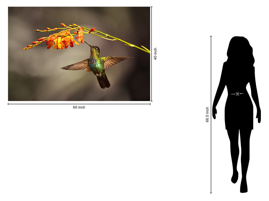 Temp Glass With Foil - Hummingbird - Light Brown