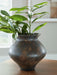 Laddlow - Vase - Antique Brown