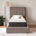 Limited Edition Plush - Mattress