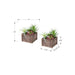 Artificial Succulent, Table Decor (Set of 2) - Green / Dark Brown