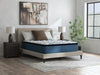 Limited Edition Plush PT 3.0 - Mattress