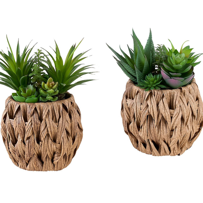 Artificial Succulent, Table Decor (Set of 2) - Green