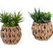 Artificial Succulent, Table Decor (Set of 2) - Green