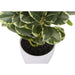 Artificial Ficus Elastica Plant (Set of 2)