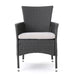 Dimensional Outdoor Dining Chair With Cushion Seat And Iron Frame (Set of 2)