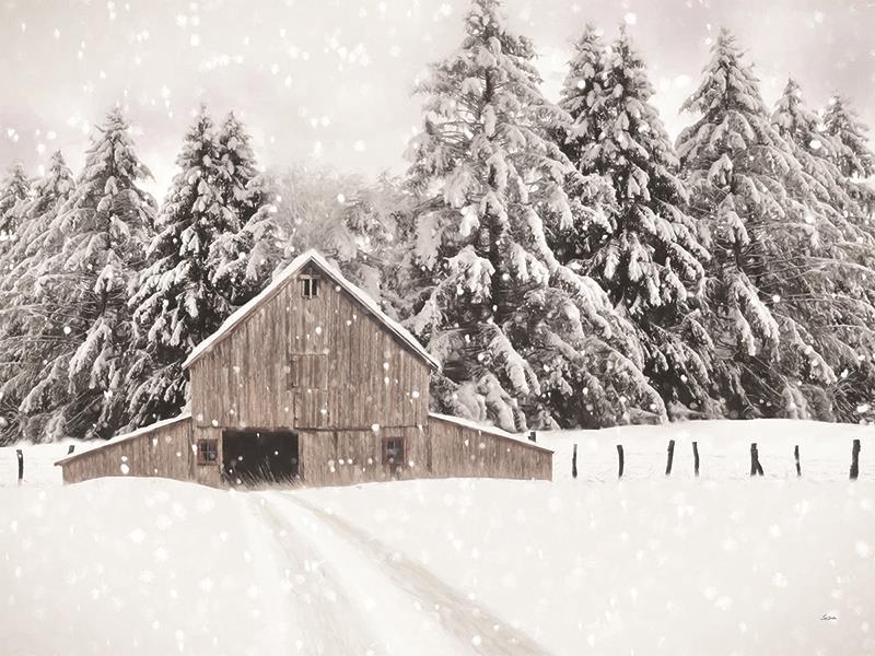 North Country By Lori Deiter (Framed) - White