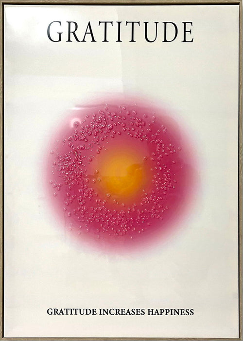 "Radiant Gratitude" Hand-Embellished Canvas In Frame - Pink / Orange