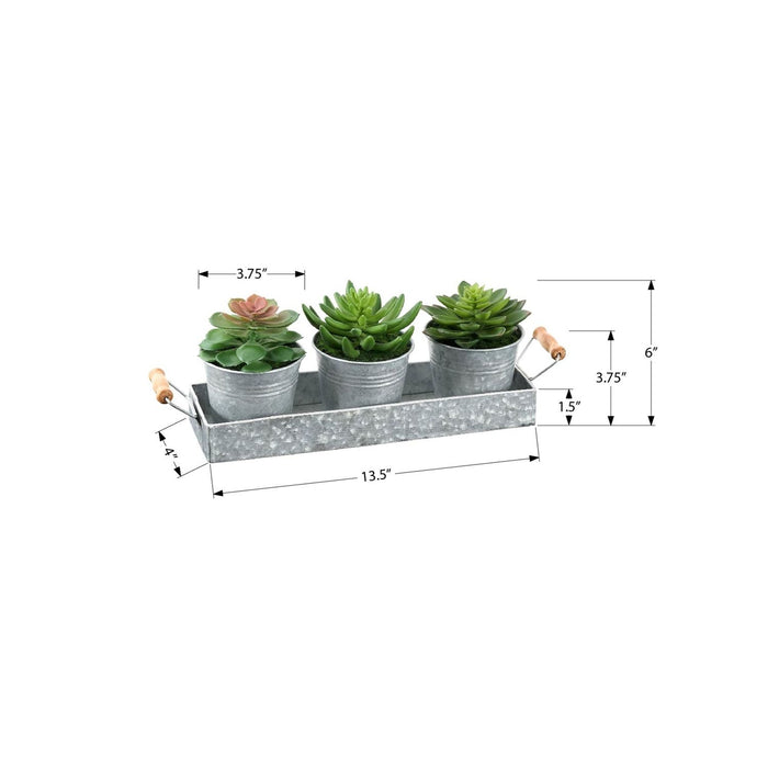Artificial Succulent, Table Decor (Set of 3) - Green