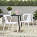 Orchid - Chair (Set of 2) - White