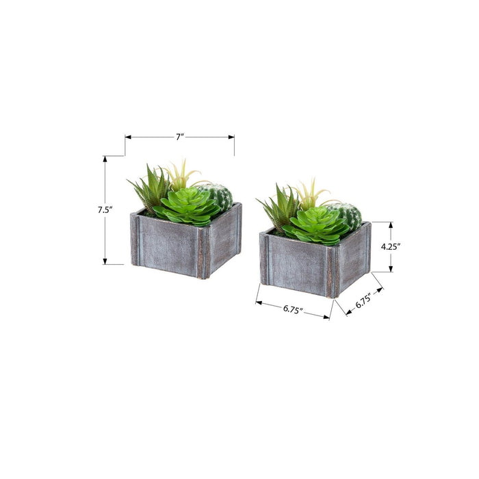 Artificial Succulent, Table Decor (Set of 2) - Green / Dark Gray