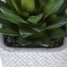 Artificial Succulent, Table Decor (Set of 2) - Green / Gray