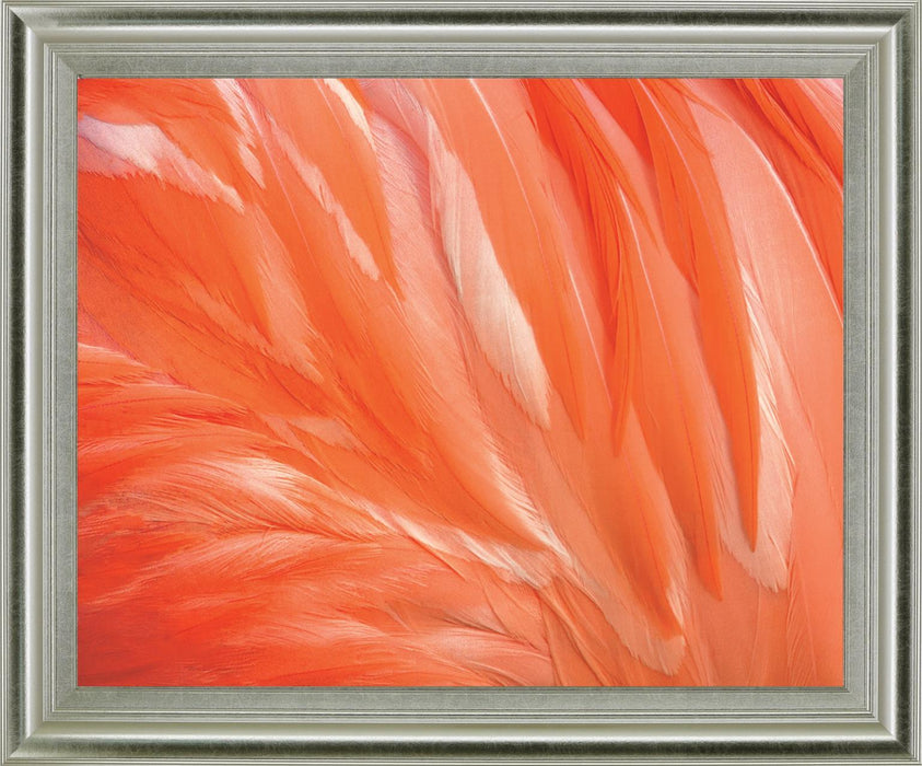 Citrus Plumage - 28" x 34" Framed Wall Art