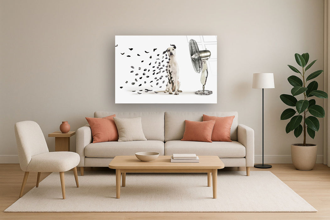 Tempered Glass With Foil - Dalmation - White