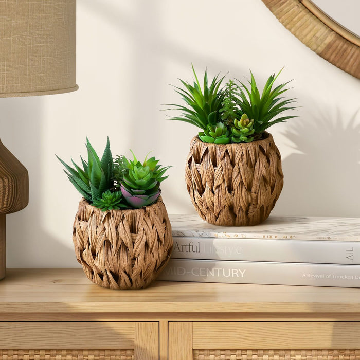 Artificial Succulent, Table Decor (Set of 2) - Green