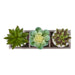 Artificial Succulent, Table Decor (Set of 3) - Green / Beige