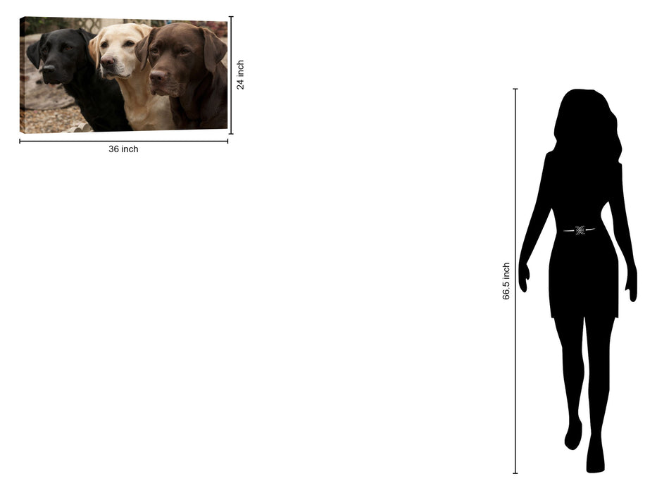 Mixed Media Canvas Dogs - Dark Brown