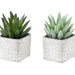 Artificial Succulent, Table Decor (Set of 2) - Green / Gray