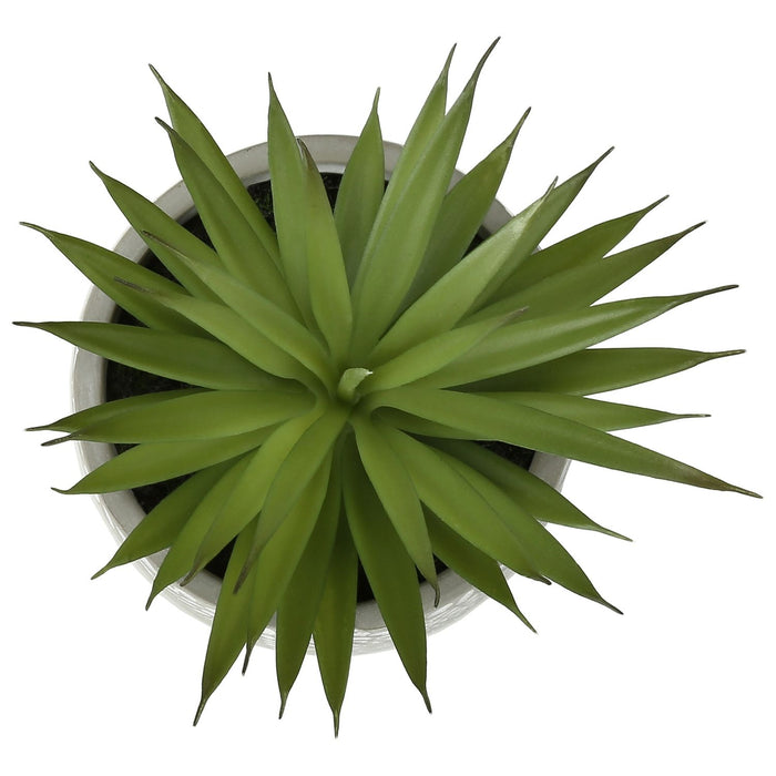 Artificial Succulent, Table Decor (Set of 2) - Green - Plastic