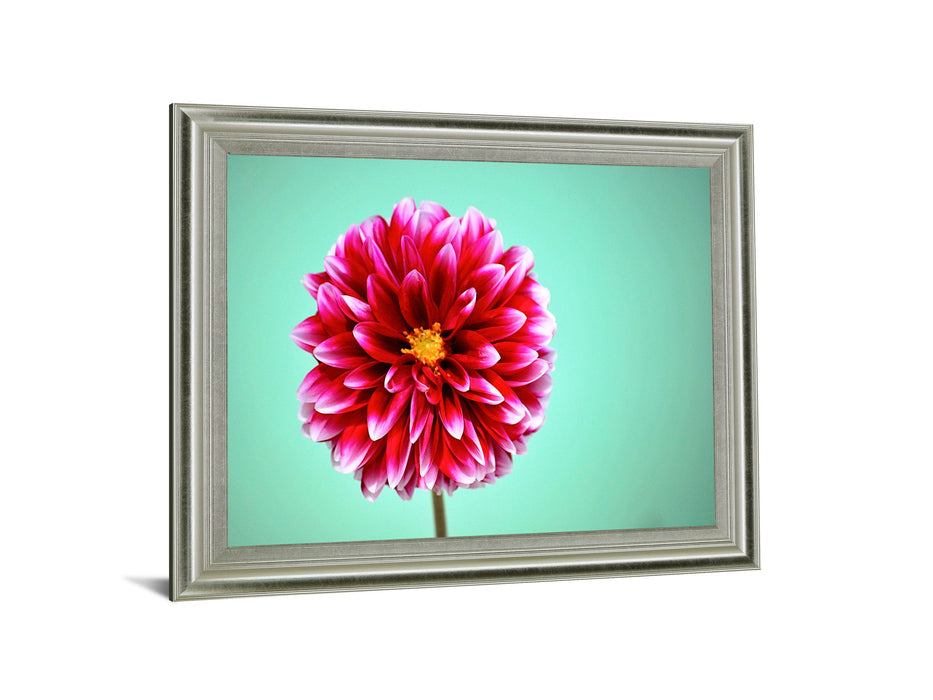 Crimson Radiance - 28" x 34" Framed Wall Art