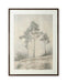 Fenngrove - Wall Art - Brown / Beige