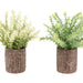 Artificial Plant, Mulberry Grass, Table Decor (Set of 2) - Green