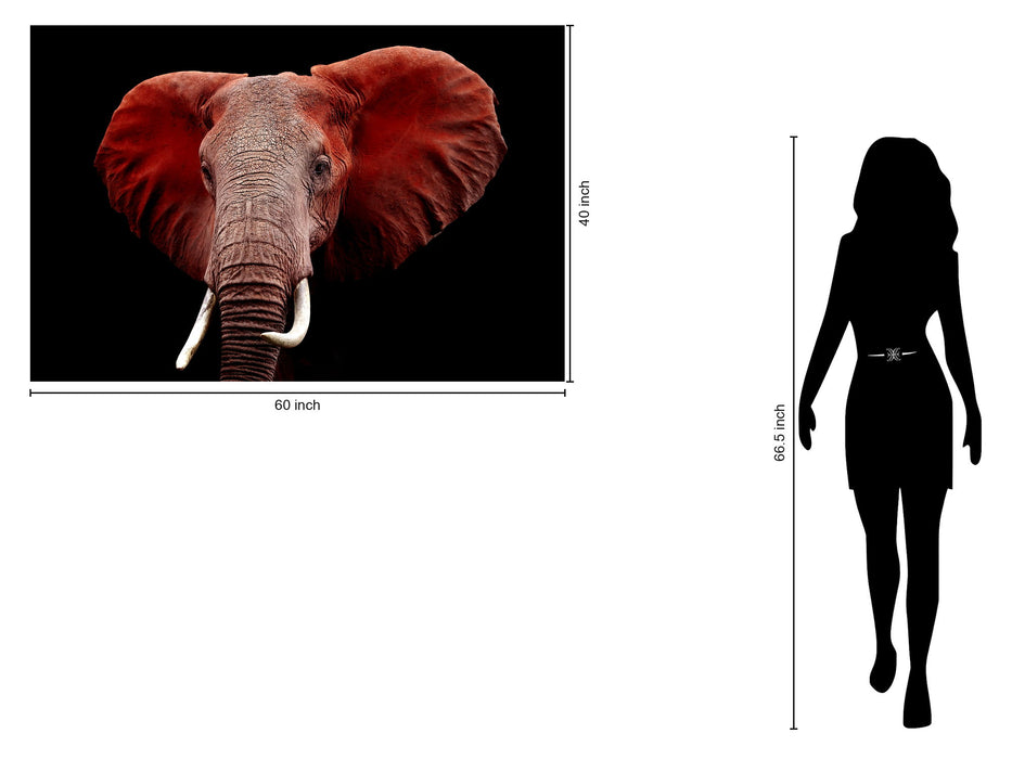 Tempered Glass Plus Foil Elephant - Red