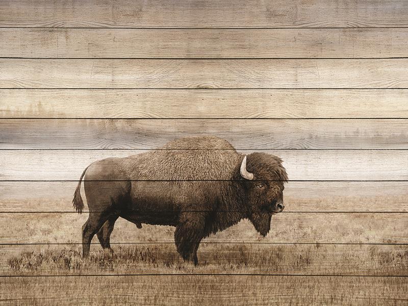 Rustic Bison By Amber Sterling (Small) - Light Brown