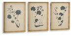 Huddwick - Wall Art Set (Set of 3) - Linen / Black