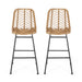Sawtelle - Outdoor Wicker Barstools (Set of 2)