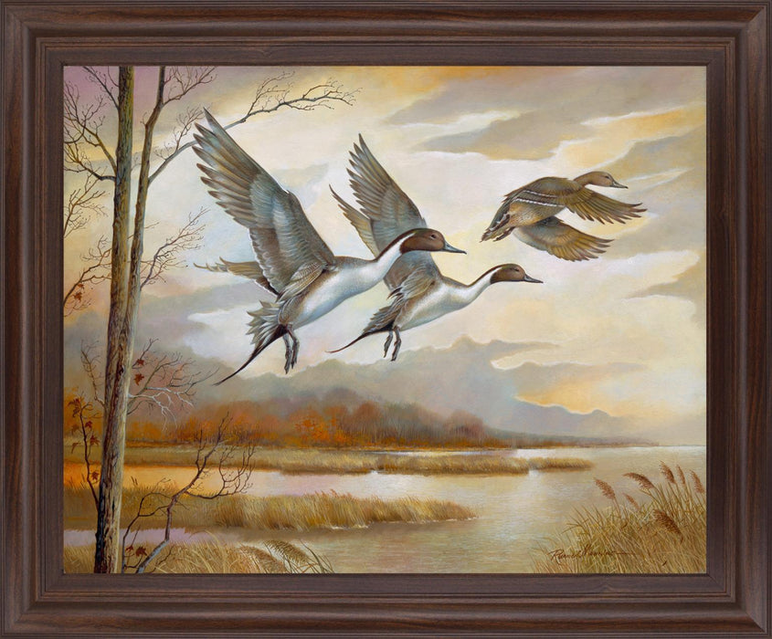 Soaring Pintails - 28" x 34" Framed Wall Art