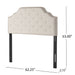 Charismatic - Size Headboard With Button Tufting And Nailhead Trim