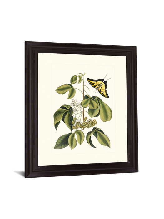 Butterfly Grove - 28" x 34" Framed Wall Art