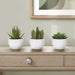 Artificial Succulent Plants (Set of 3)