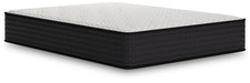 Limited Edition Plush - Mattress