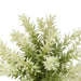 Artificial Plant, Mulberry Grass, Table Decor (Set of 2) - Green