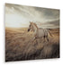 Errolville - Wall Art - Multi