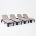 Outdoor Chaise Lounge With Cushion, 5 Position Adjustable Backrest