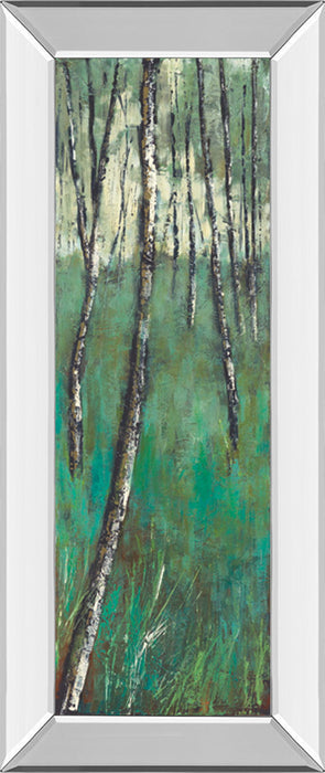 Nature Companion Il By Solis - Mirror Framed Print Wall Art - Blue