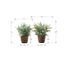 Artificial Eucalyptus Grass (Set of 2)