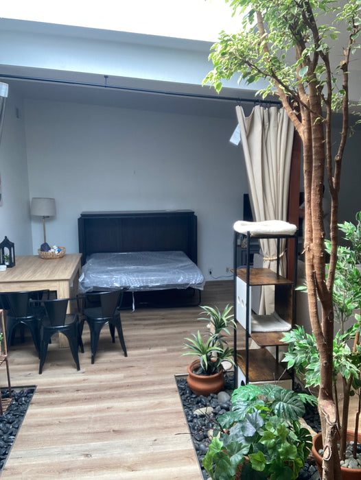 Murphy Cabinet Bed in Sacramento, CA 95833