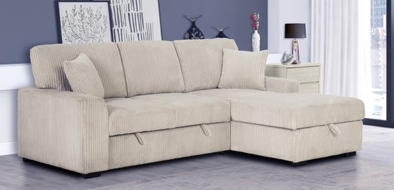 sectional sofa with storage Sacramento