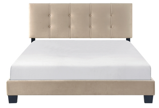 Homelegance Newberry Queen Platform Bed in brown velvet upholstery at Sacramento Furniture Store