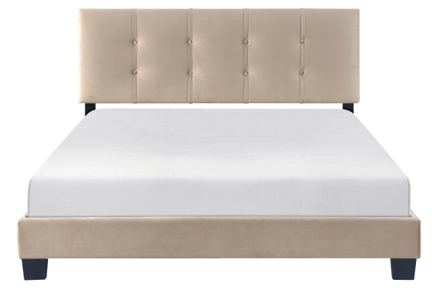 Homelegance Newberry Queen Platform Bed in brown velvet upholstery at Sacramento Furniture Store