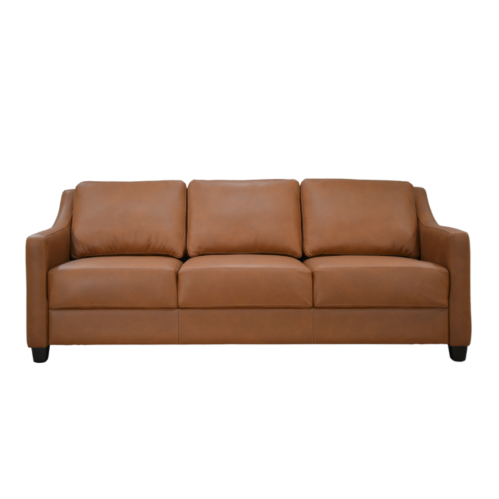SLOFA fabric and leather sleeper sofas for sale in Sacramento CA