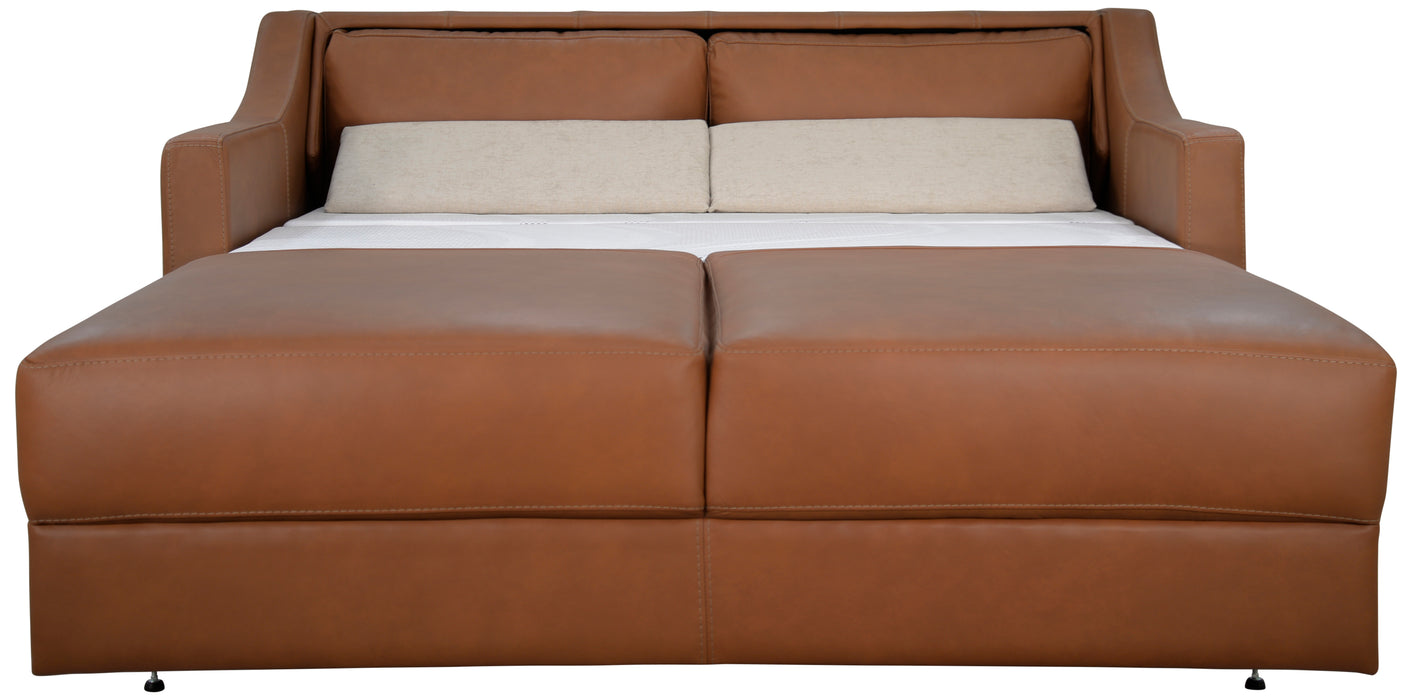 Comfortable sleeper sofa for nightly guests in Sacramento California