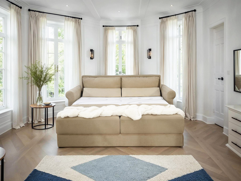 Queen sleeper sofa for small spaces in Sacramento California