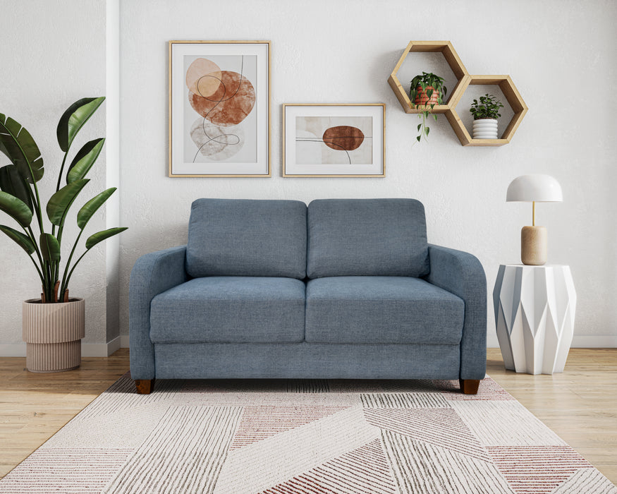 Comfortable Queen sofa sleeper for Northern California homes