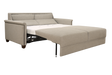 Queen sleeper sofa for guest rooms and living rooms in Sacramento