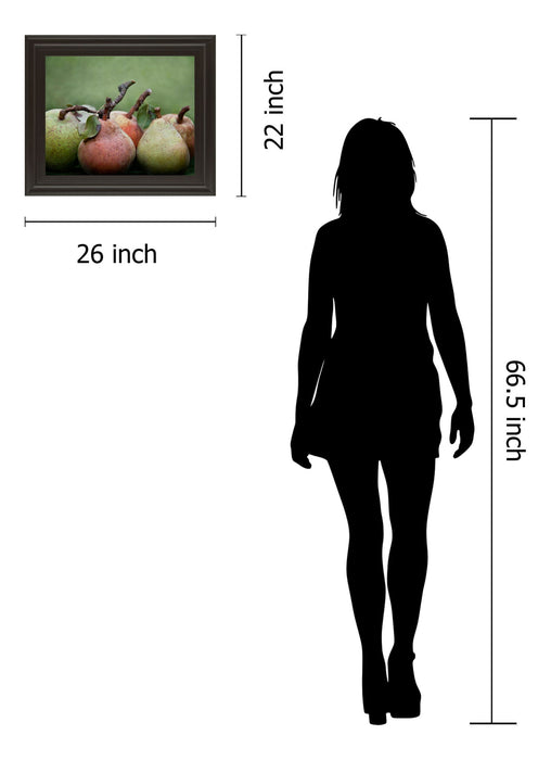 Comice Pear I By Rachel Perry - Framed Print Wall Art - Green