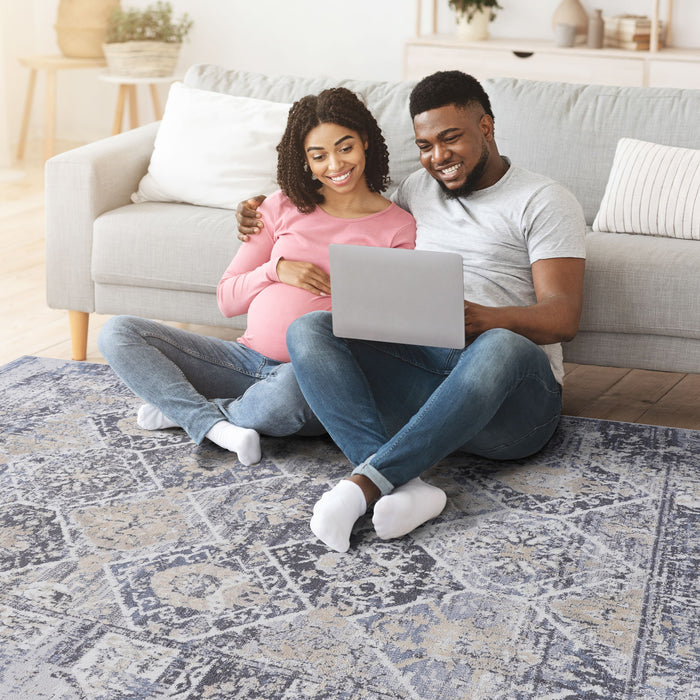 Payas - 5' X 7' Traditional Area Rug - Gray / Blue